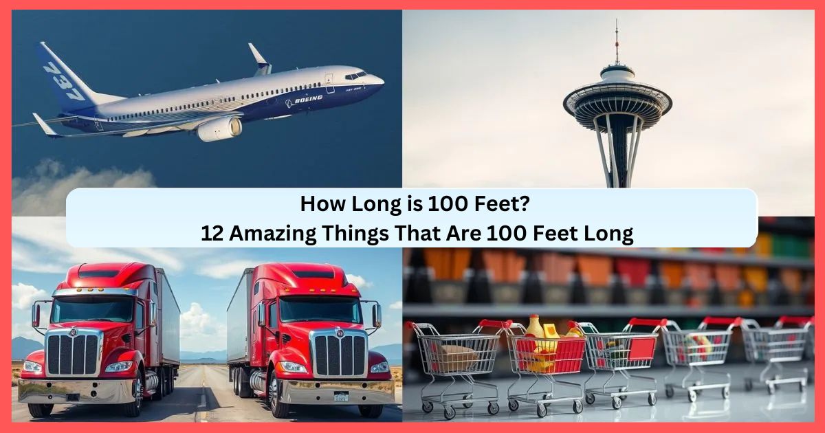 100 Feet