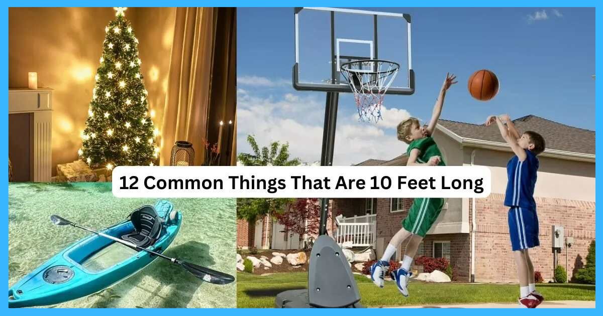 12 Common Things That Are 10 Feet Long