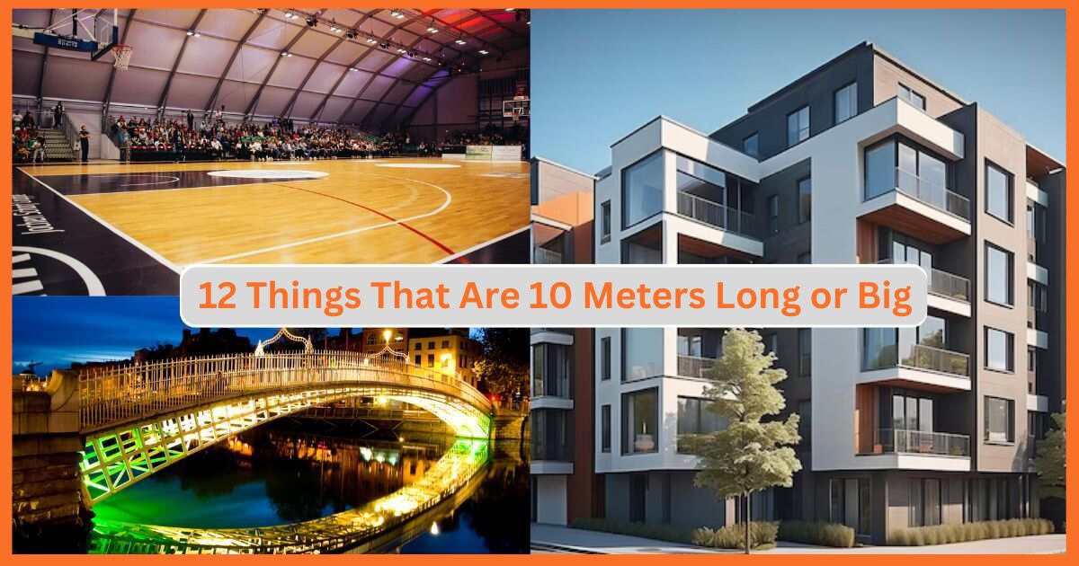 12 Things That Are 10 Meters Long or Big