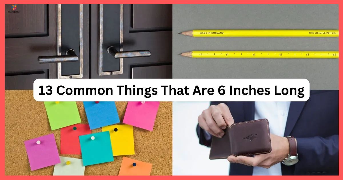 13 Common Things That Are 6 Inches Long