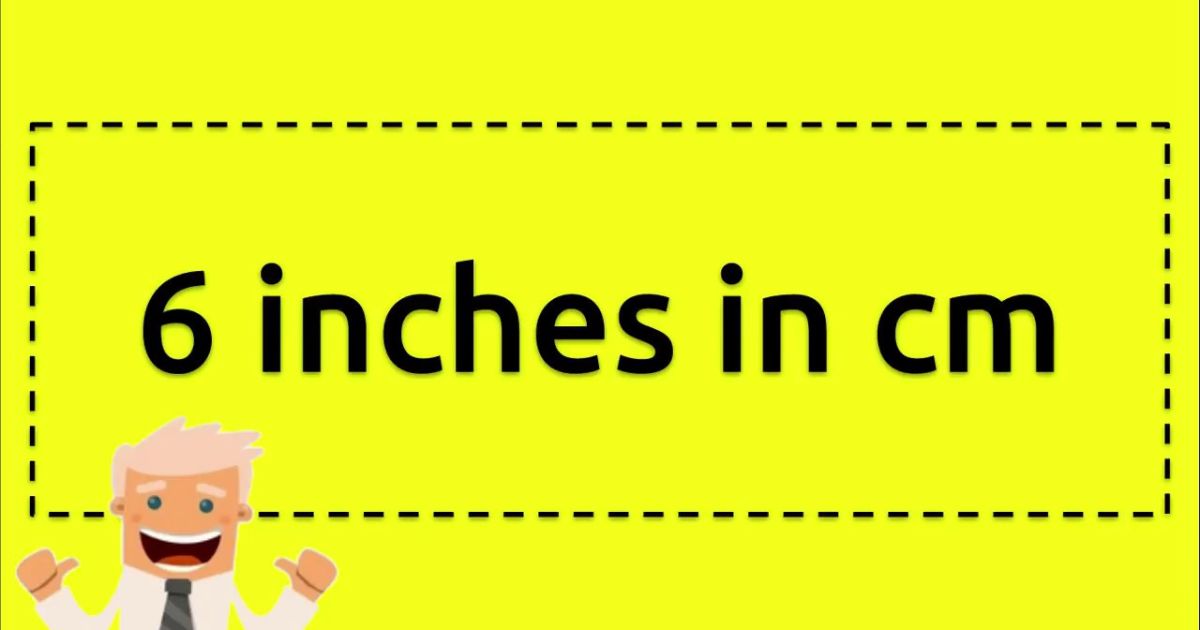 13 Common Things That Are 6 Inches Long