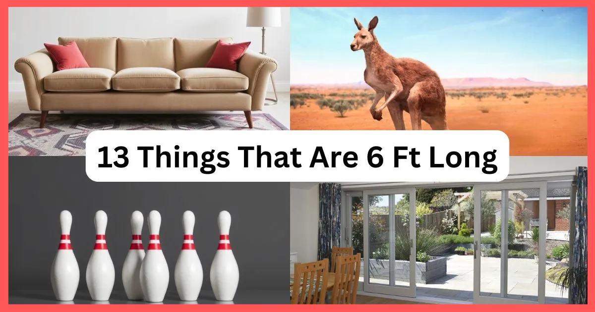 13 How Long is 6 Feet? 13 Things That Are 6 Ft Long