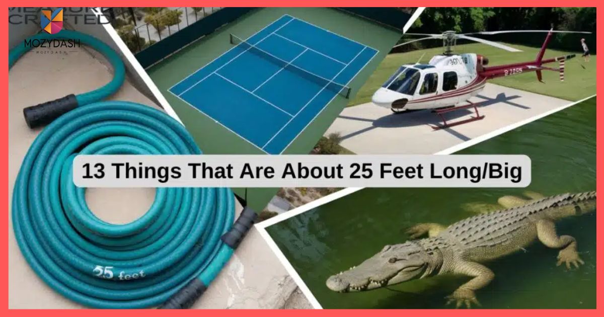 13 Things That Are About 25 Feet Long/Big