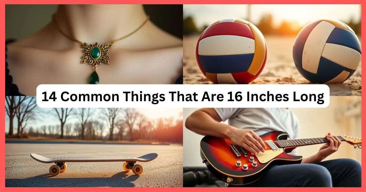 14 Common Things That Are About 16 Inches Long