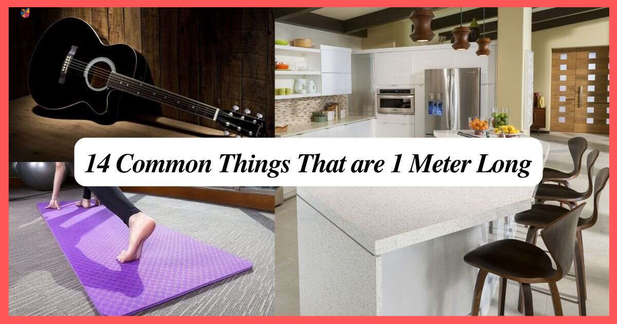 14 Common Things That Are 1 Meter Long