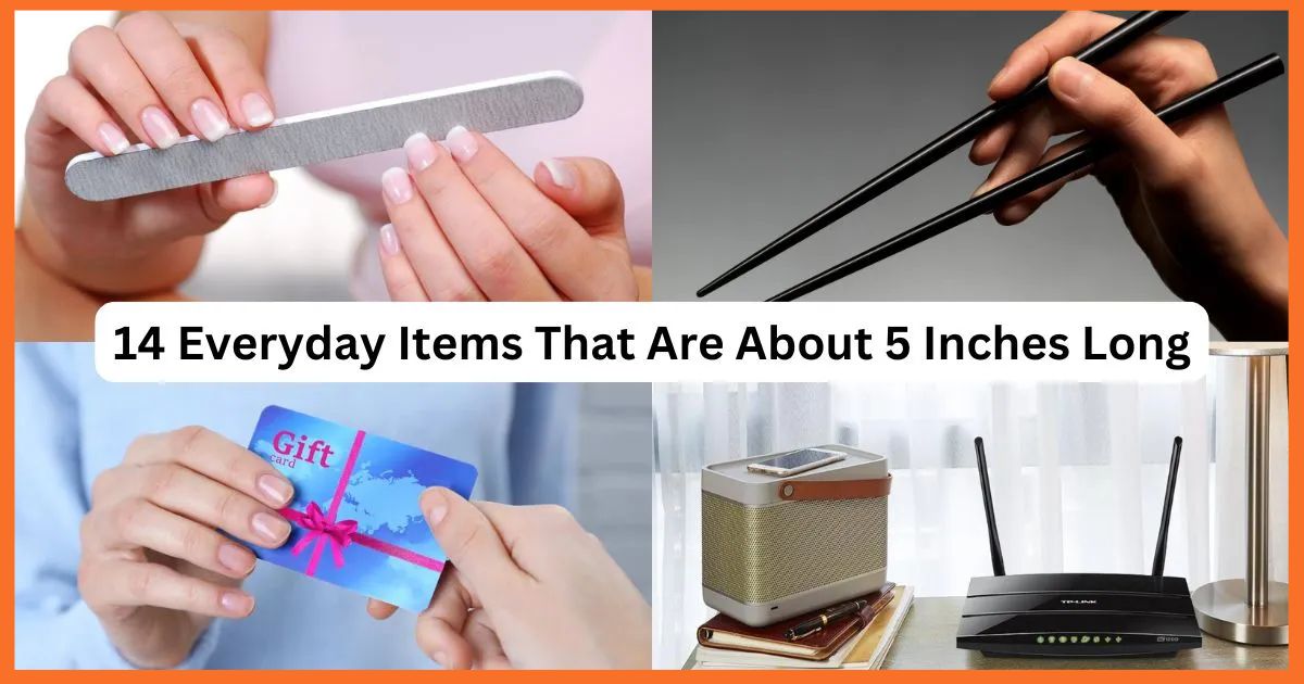 14 Everyday Items That Are About 5 Inches Long