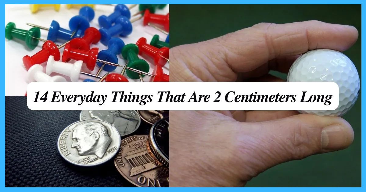 14 Everyday Things That Are 2 Centimeters Long