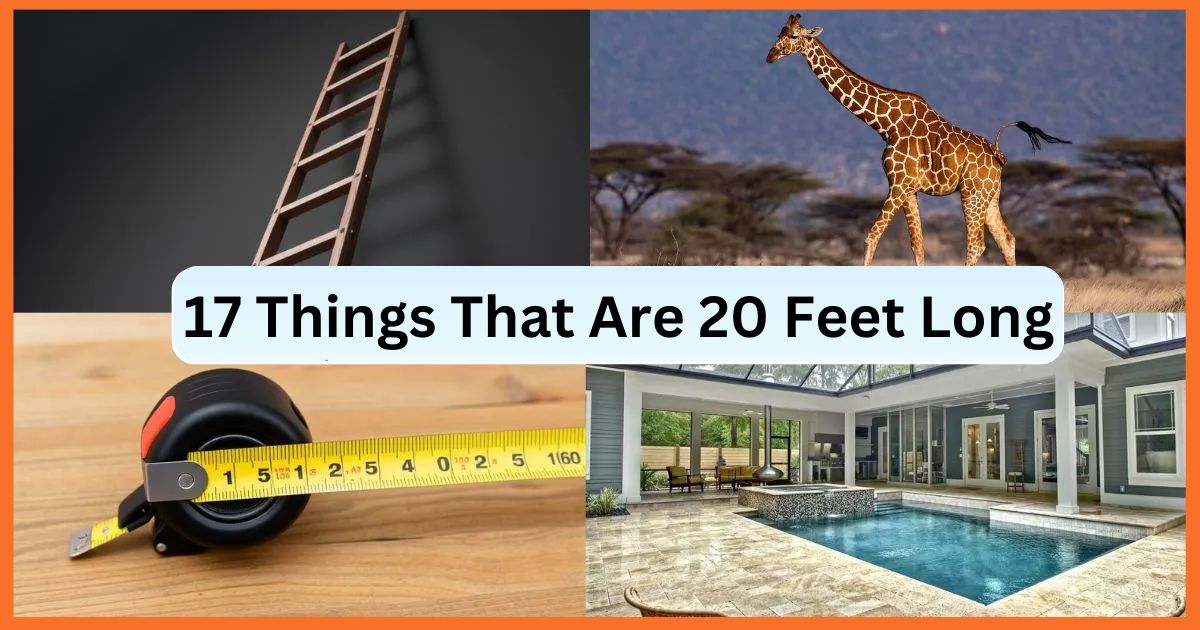 17 Things That Are 20 Feet Long