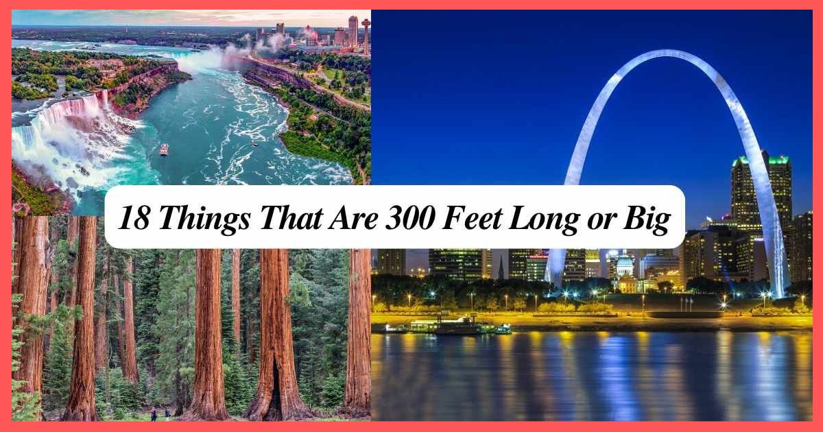 18 Things That Are 300 Feet Long or Big