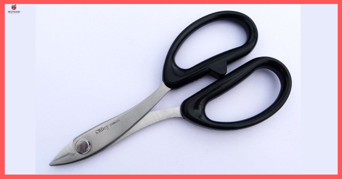 Compact Pair of Scissors