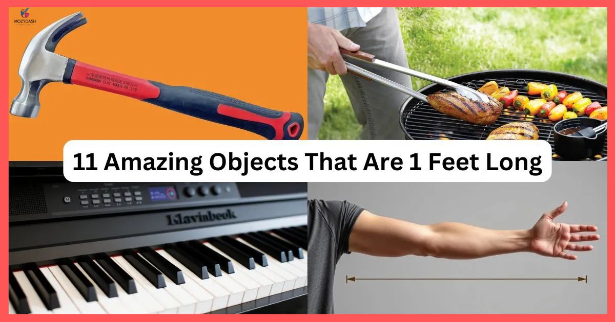 How Long is a Foot? 12 Objects That Are 1 Foot Long