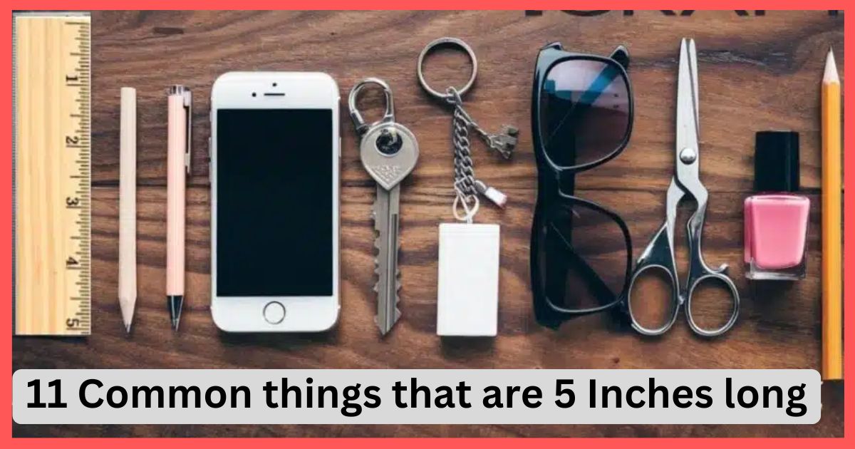 11 Common Things that Are 5 Inches Long