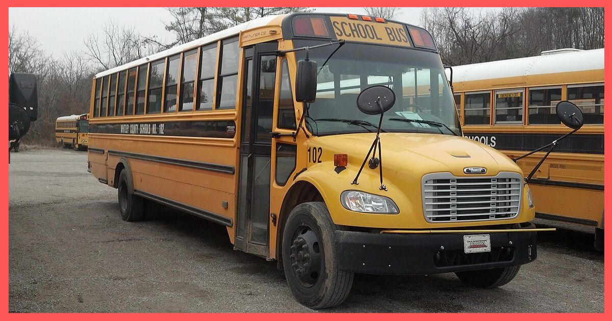 School Bus