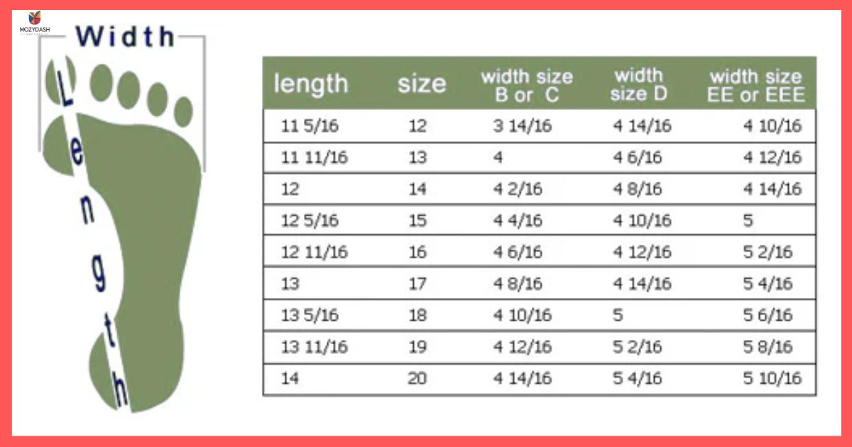 Shoe Size 12
