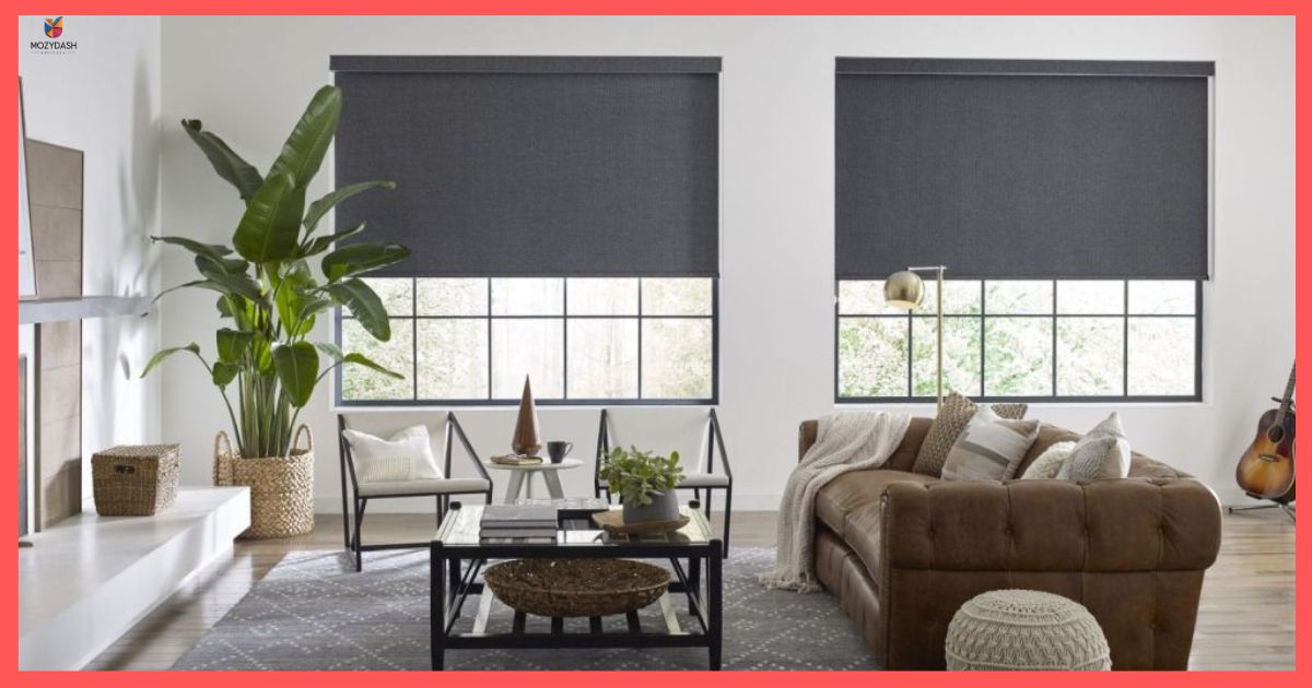 Window Blind