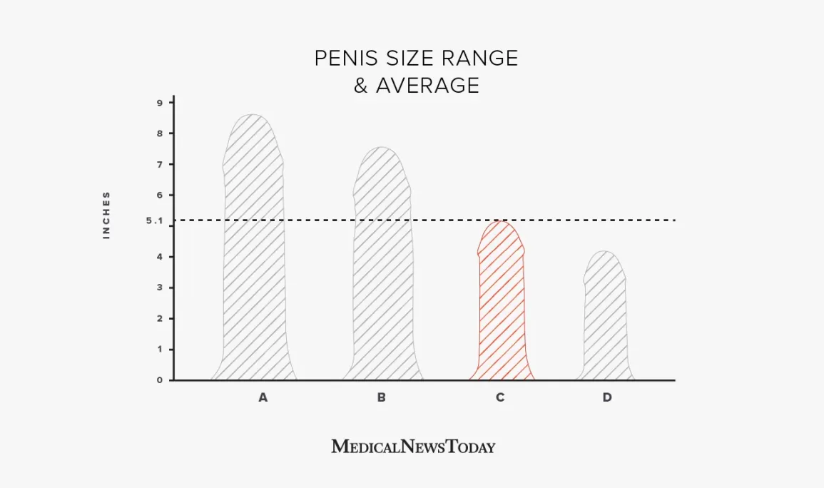 Is a 7 Inch Penis Big