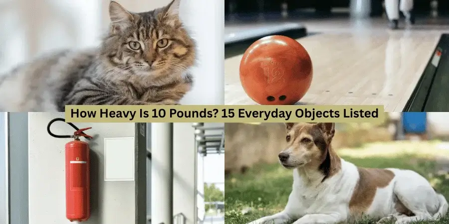 Weigh 10 Pounds